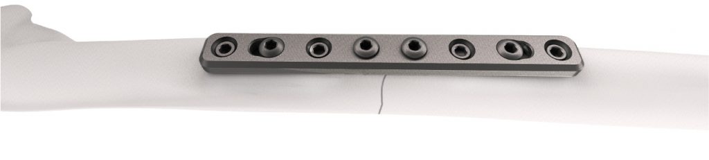 Clip-Group-14-1024x231