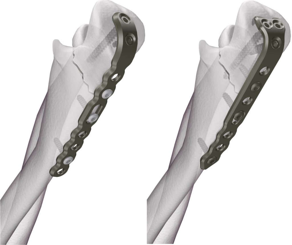 Clip-Group4-1024x859